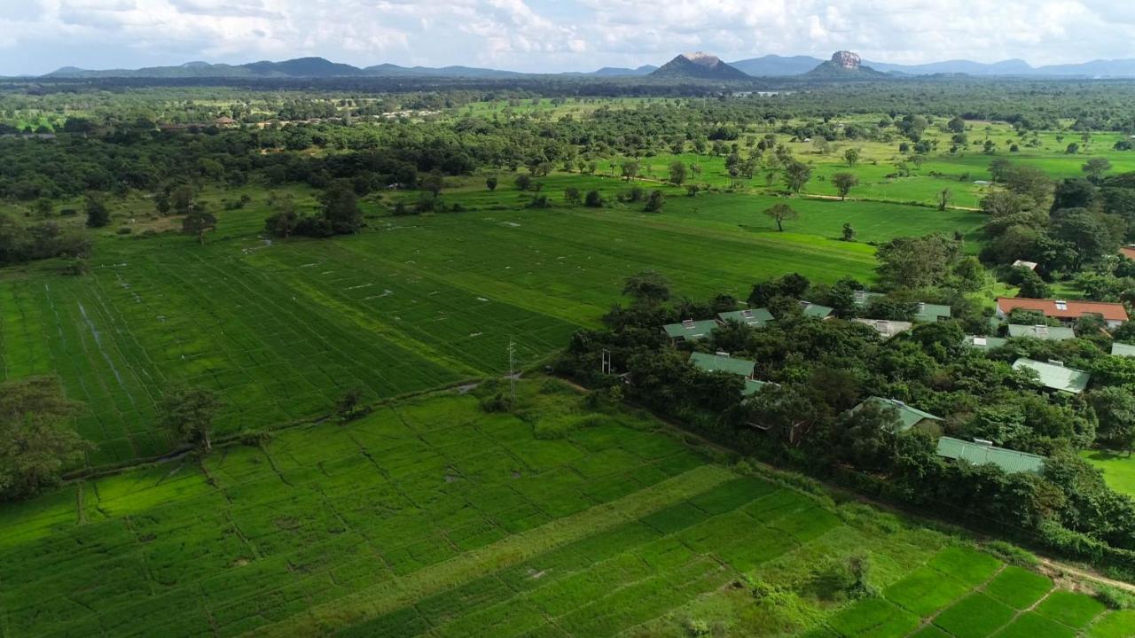 Camellia Resort And Spa Sigiriya Exterior photo