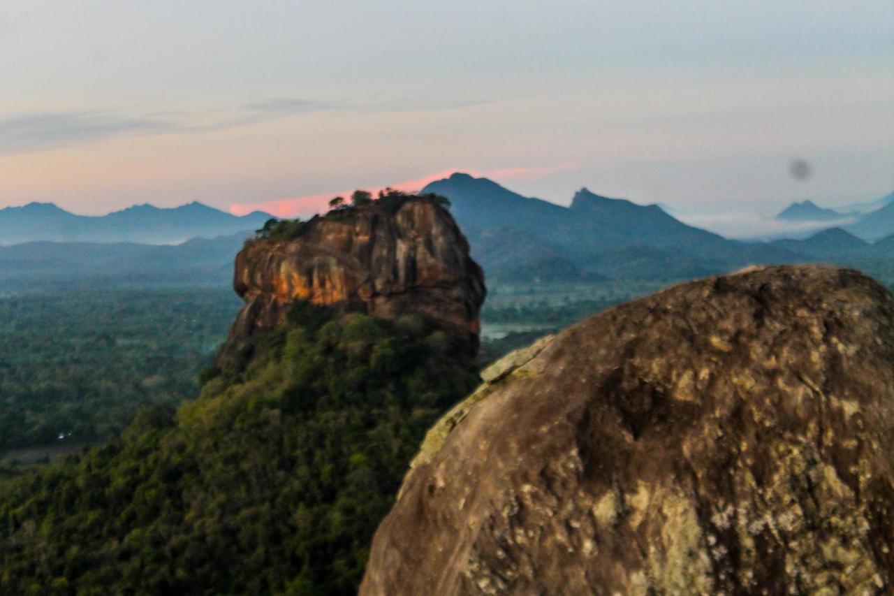 Camellia Resort And Spa Sigiriya Exterior photo